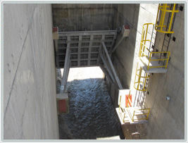 Dysac compuertas radiales recubrimientos