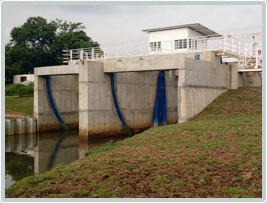 Dysac compuerta tipo sector recubrimientos